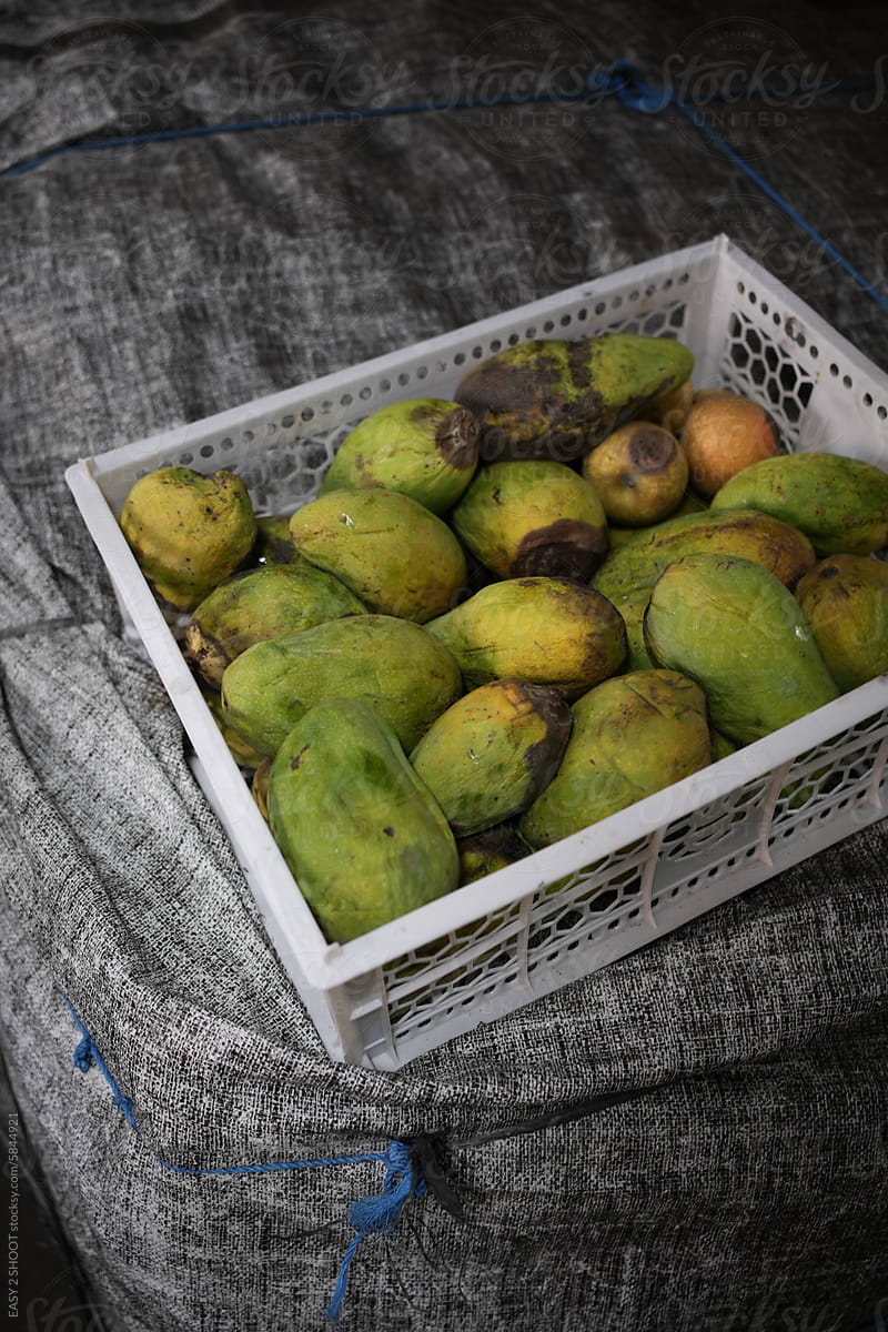 Rotten Mango in a Container - Reasonable Consumption topic