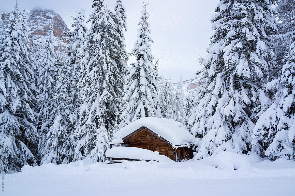 Hut in snowy landscape