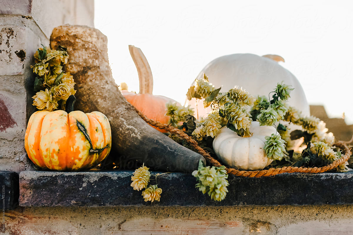 pumpkin and hop fall decoration