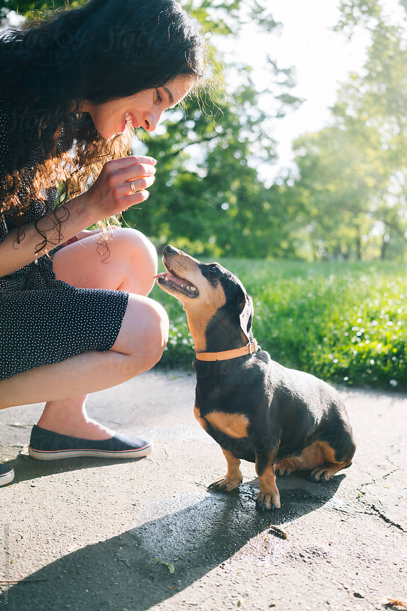 Woman spending time with a dachshund in the park