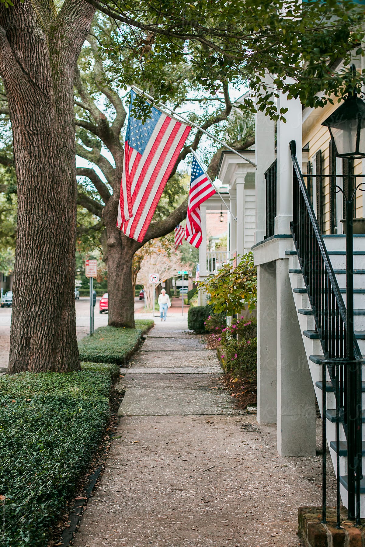 American flags flying on a residential street in the Southern United States