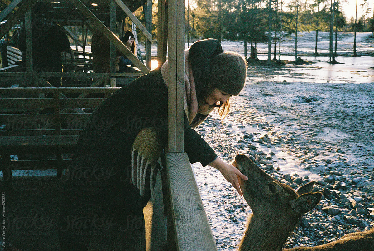 Woman feeding Deer in the Winter\'s Glow