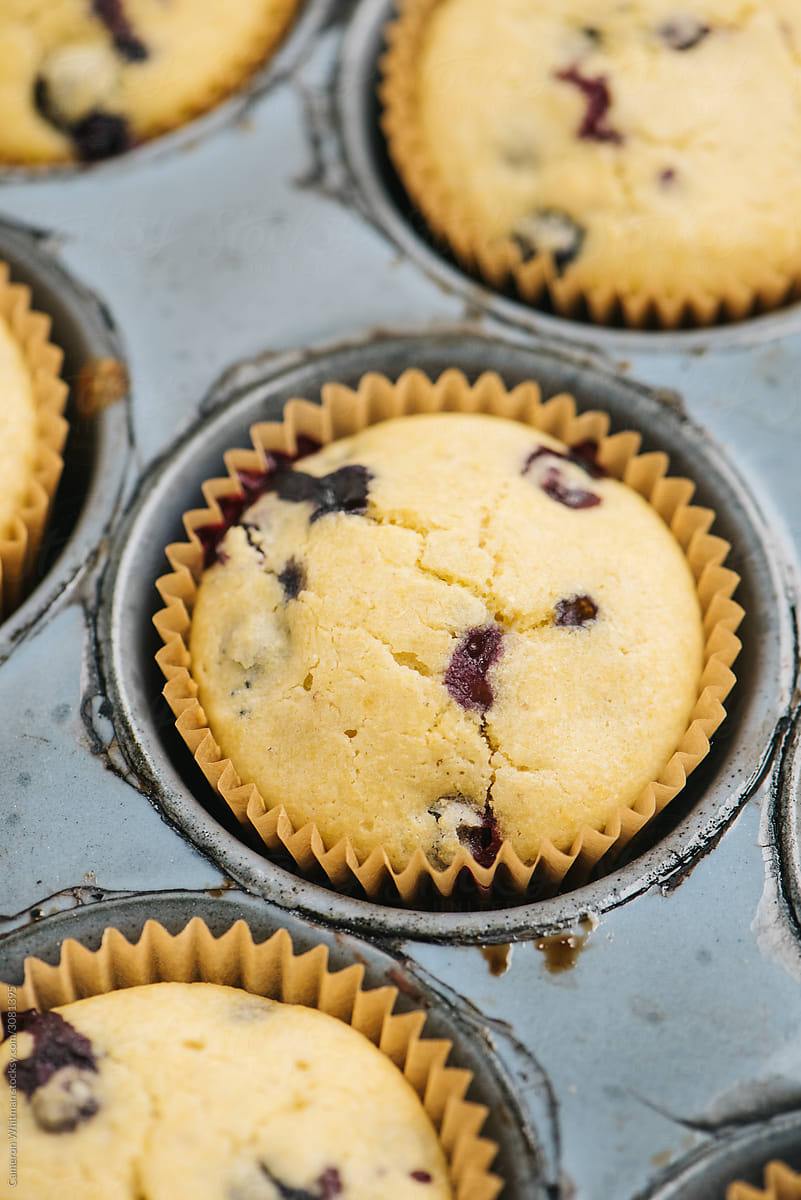 Blueberry cornbread muffins in a muffin tin