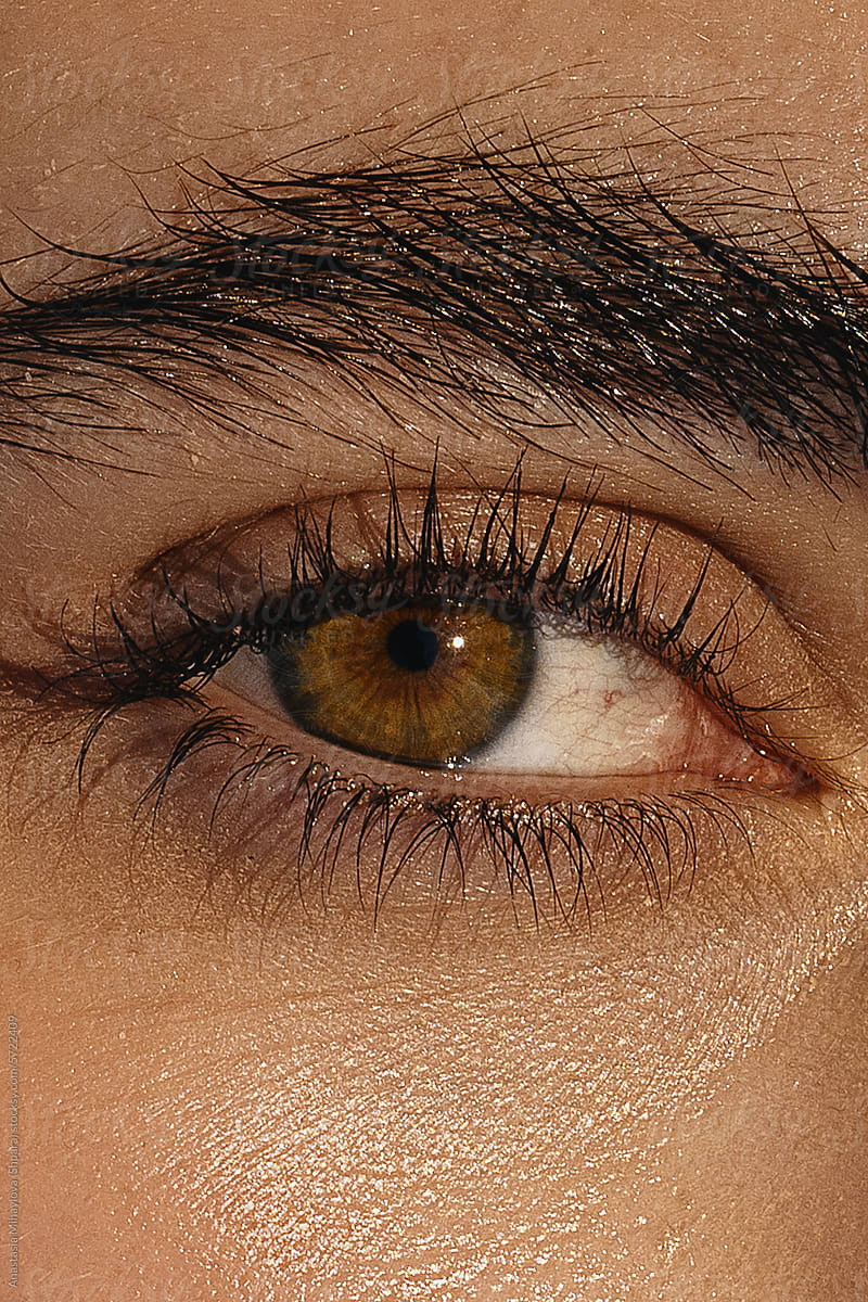 Close Up woman's portrait with brown eyes in sun light