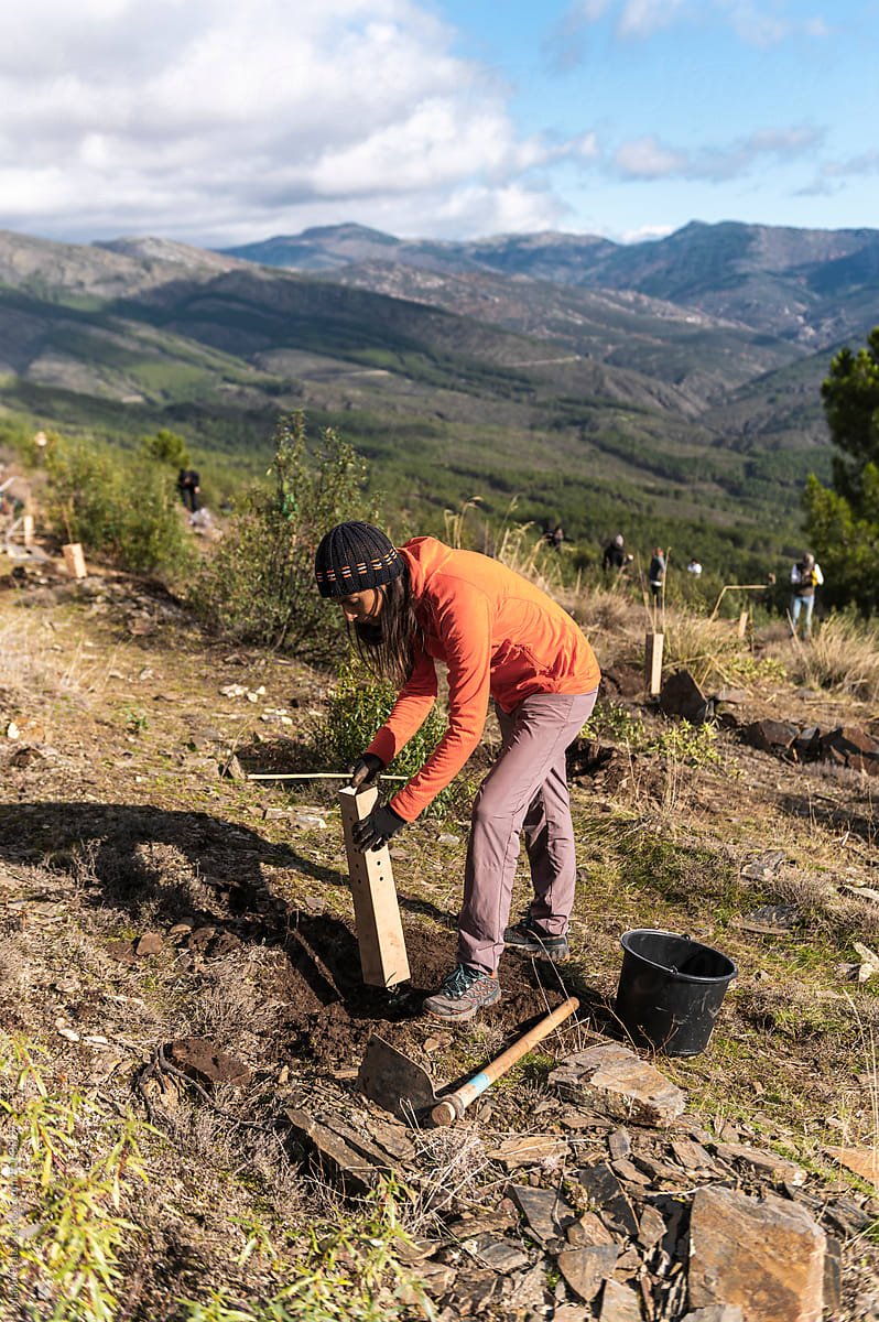 Climate change activist planting trees