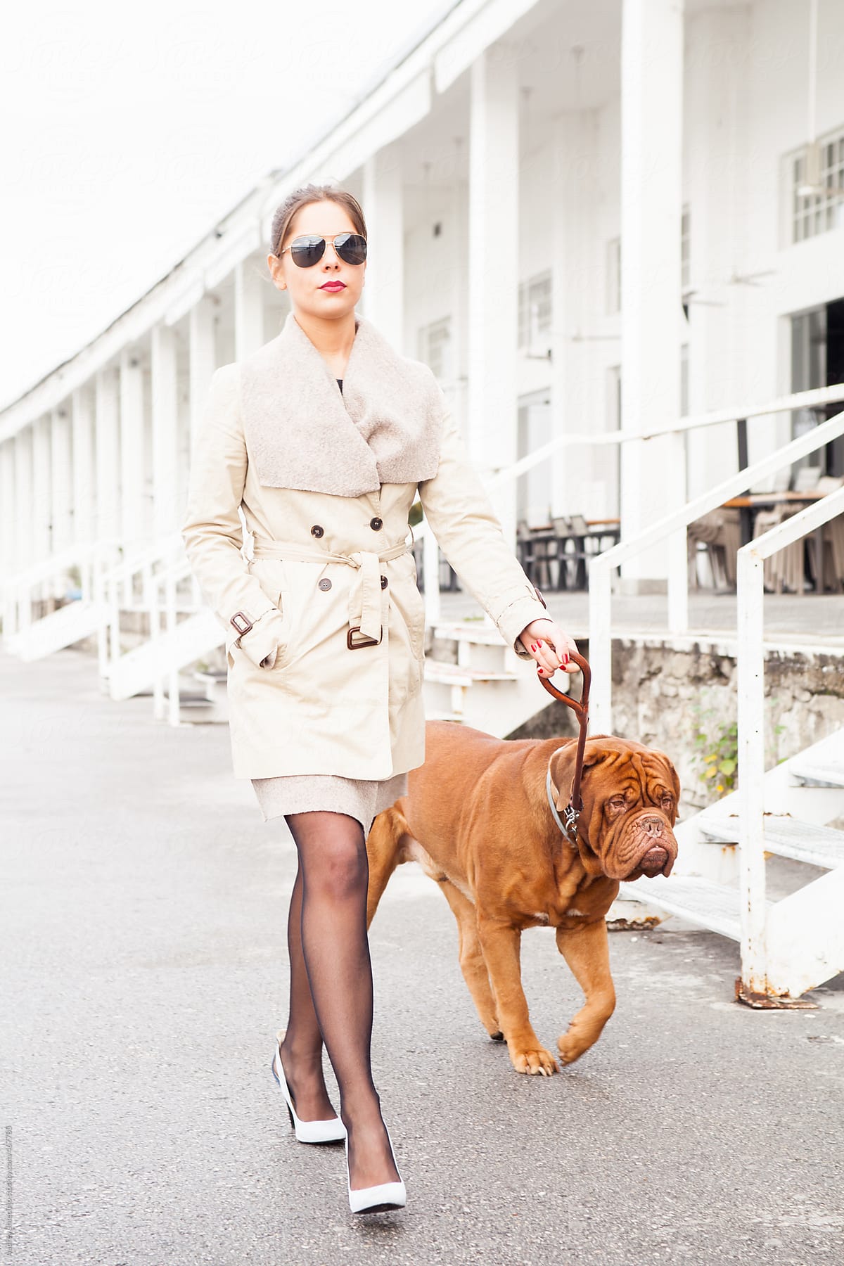 Fashionable woman walking with her Dogue de Bordeaux