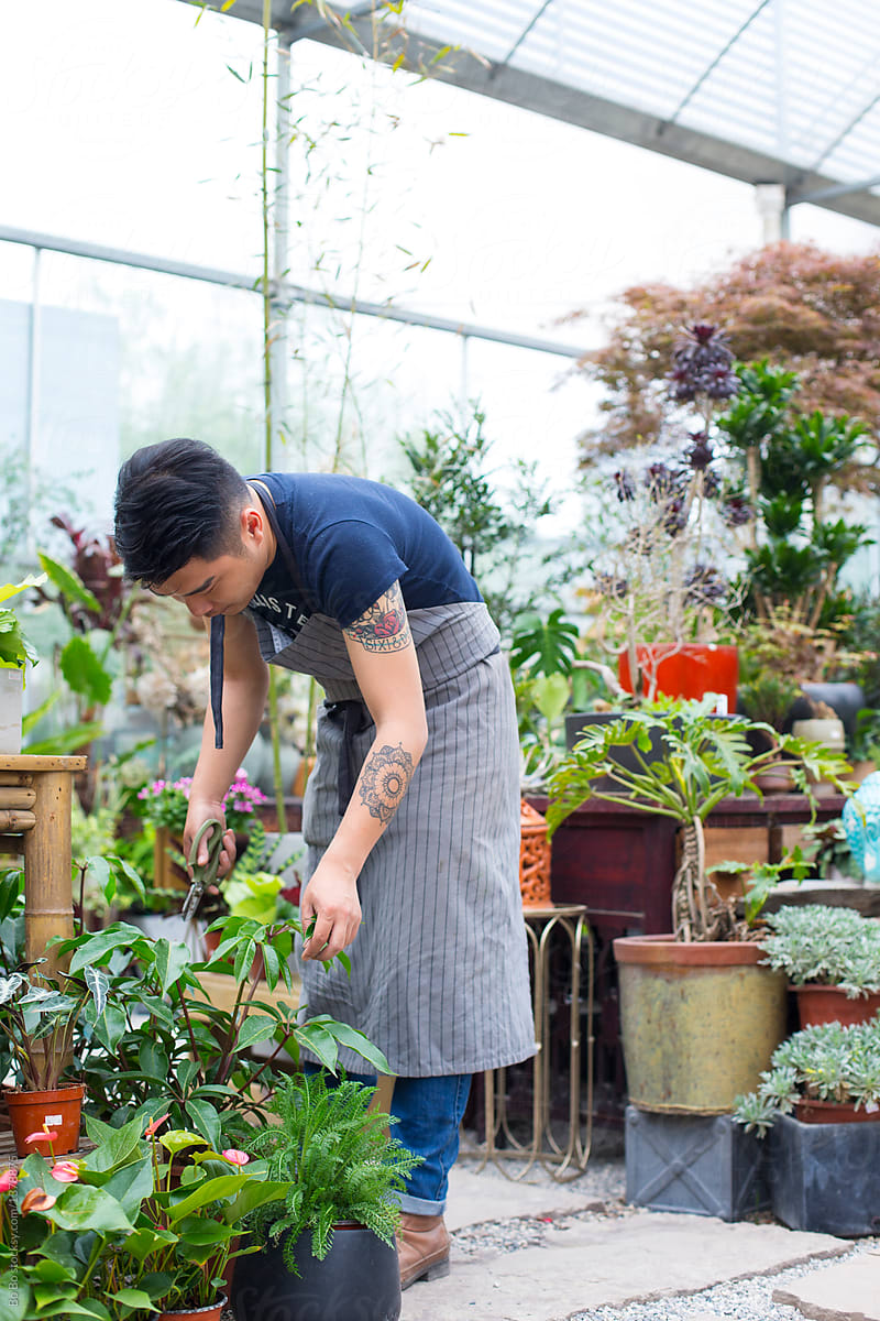 One young asian male florist working in his shop or garden