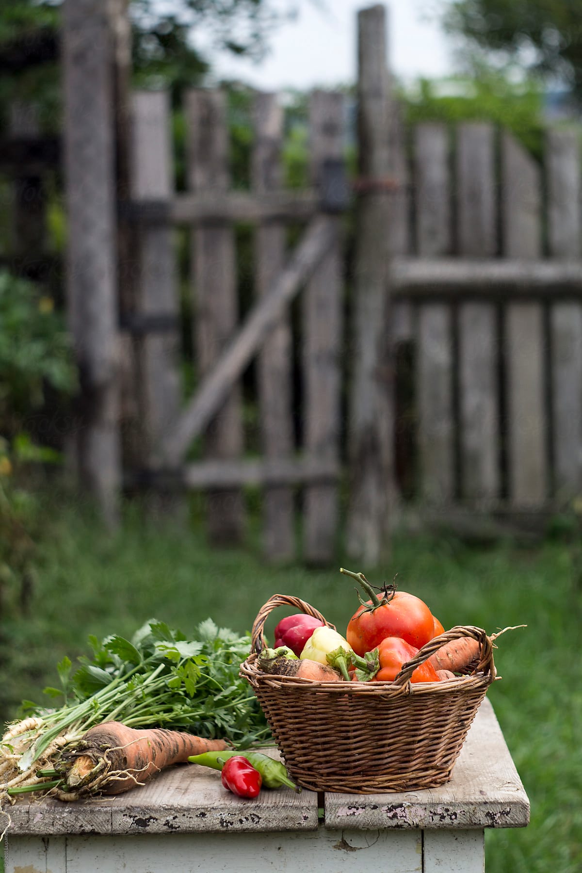 Fall vegetables in a basket