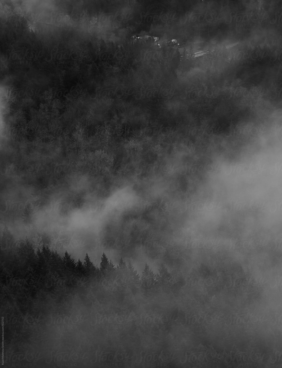 Smokey Forest