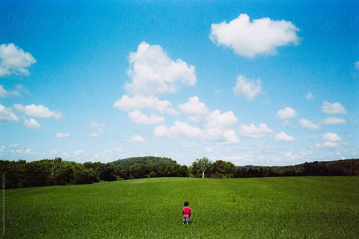Young boy exploring an open green field