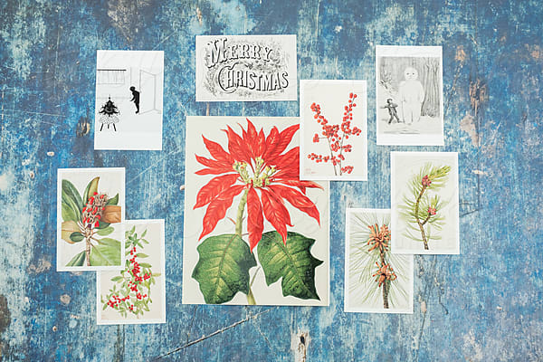 Natural Holiday Wrapping Paper by Stocksy Contributor Maryanne