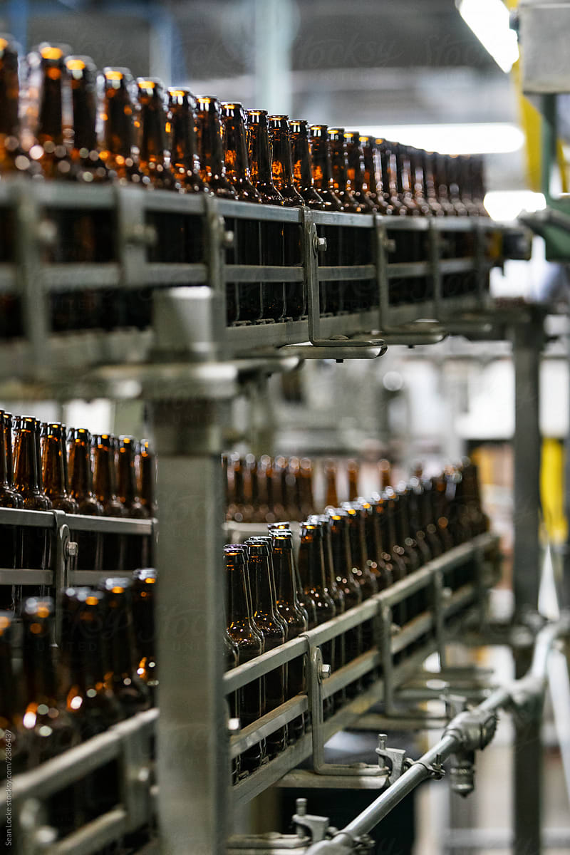 Brewery: Empty Bottles Move Through Production Bottling Line