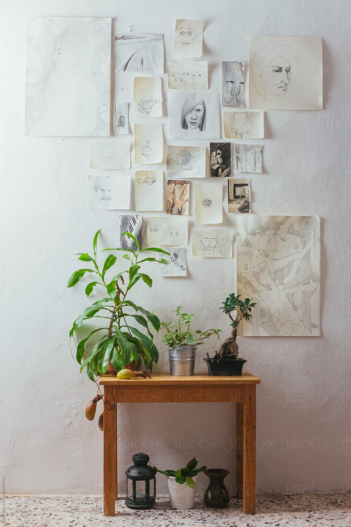 Plants on a wooden table with drawings on a white wall