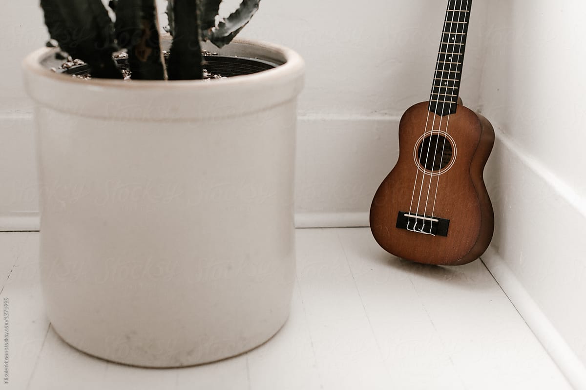 ukulele sitting in corner of white room next to plant