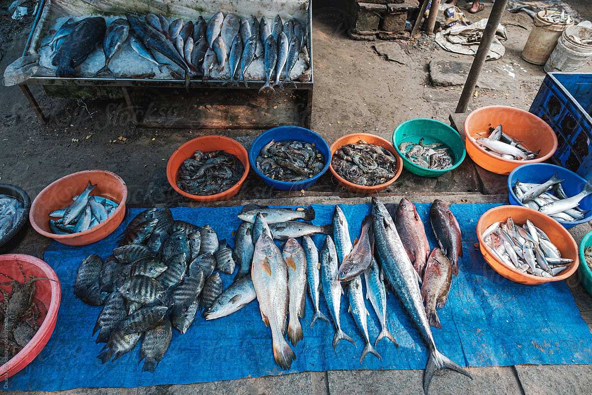 Fish market in Cochin.