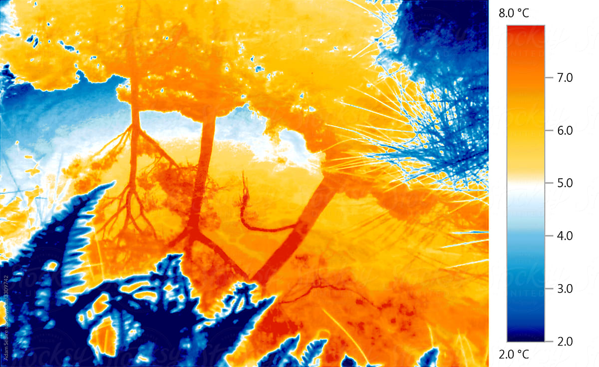 Thermal heat imaging reveals global warming of nature lake ecosystem