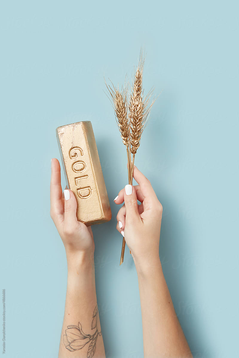 Gold and gilded wheat in woman\'s hands.