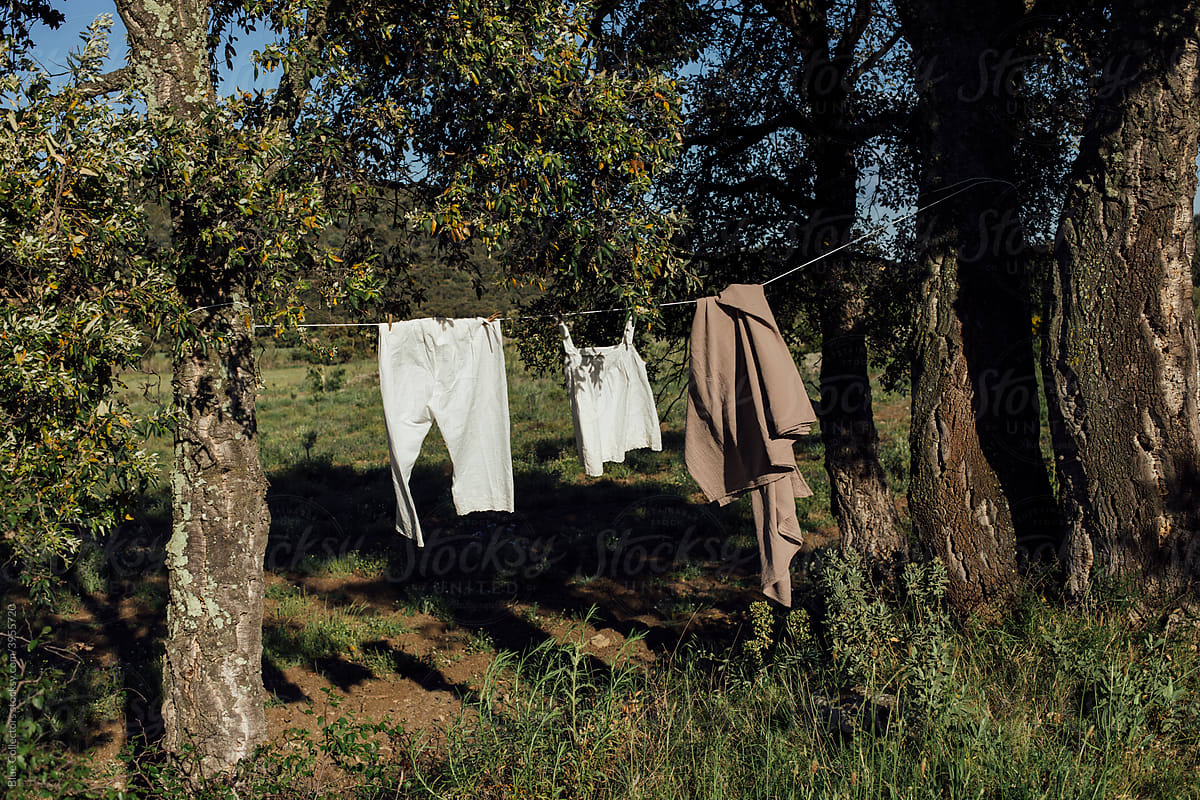 Summer clothes hanging, Clothesline