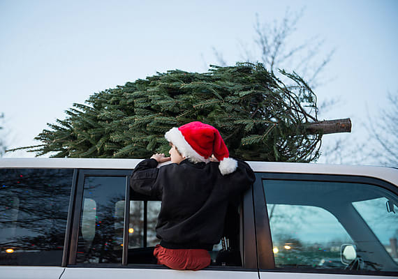 Boy Peeks Out Car Window With Christmas Tree On Top by Stocksy Contributor  Cara Dolan - Stocksy