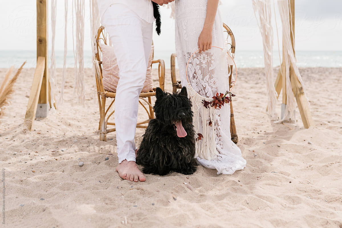 Bride and groom with dog on beach