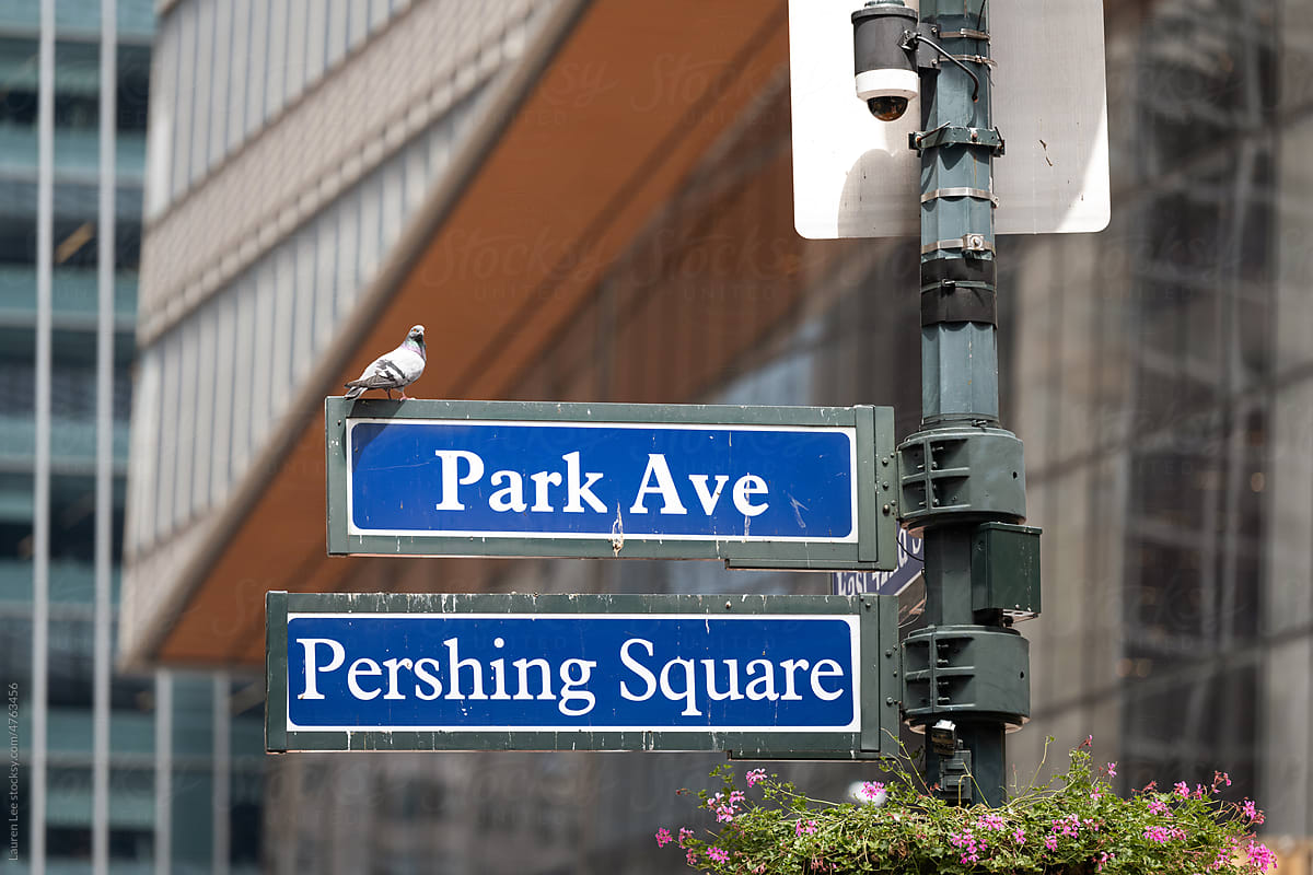 Park Avenue sign