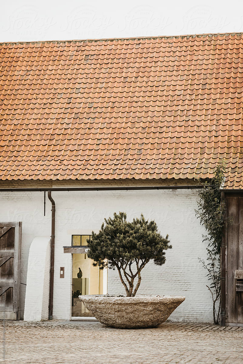Idyllic rustic house with a potted tree