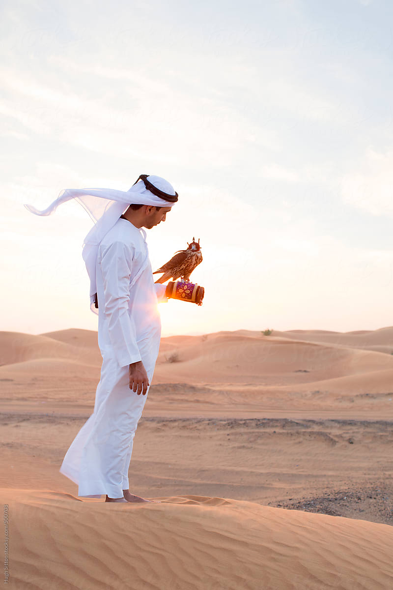 Arabian man in desert with falcon. Dubai. United Arab Emirates.
