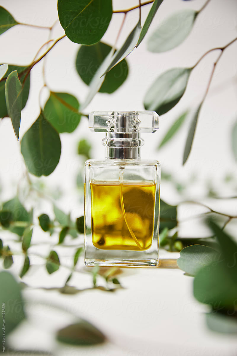 Perfume bottle with eucalyptus