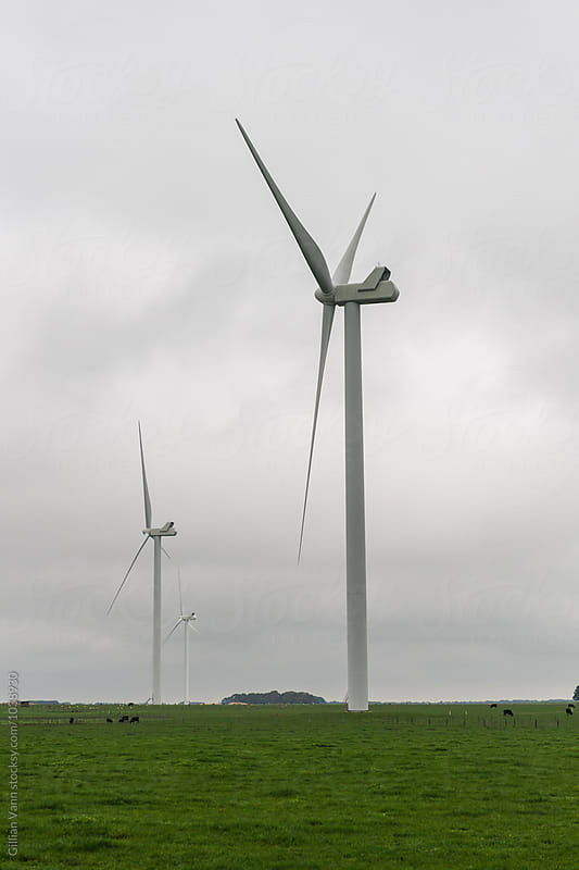 wind farm in a rural area