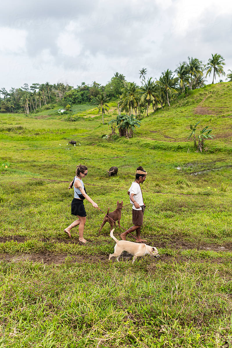 Volunteer group walking rescued dogs by tropical pathway