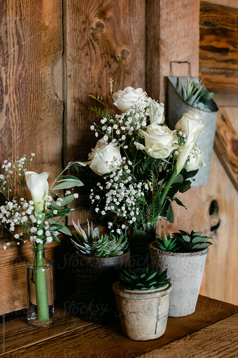 Assortment of Flowers and Plants