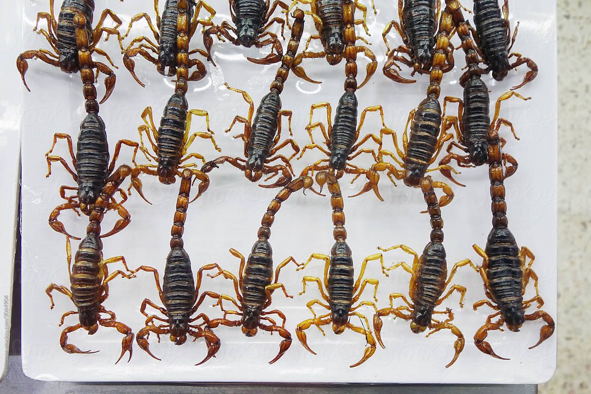 Edible scorpions at a Mexican exotic food market