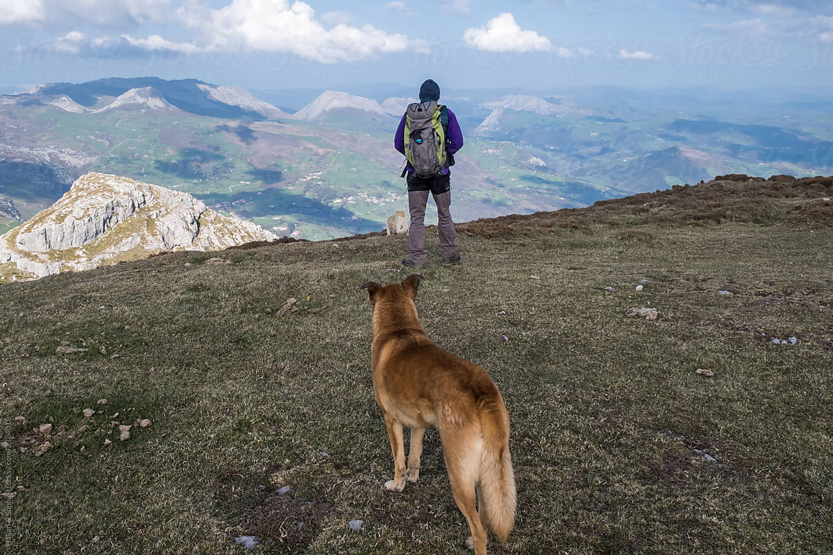 a man trekking  and his dog