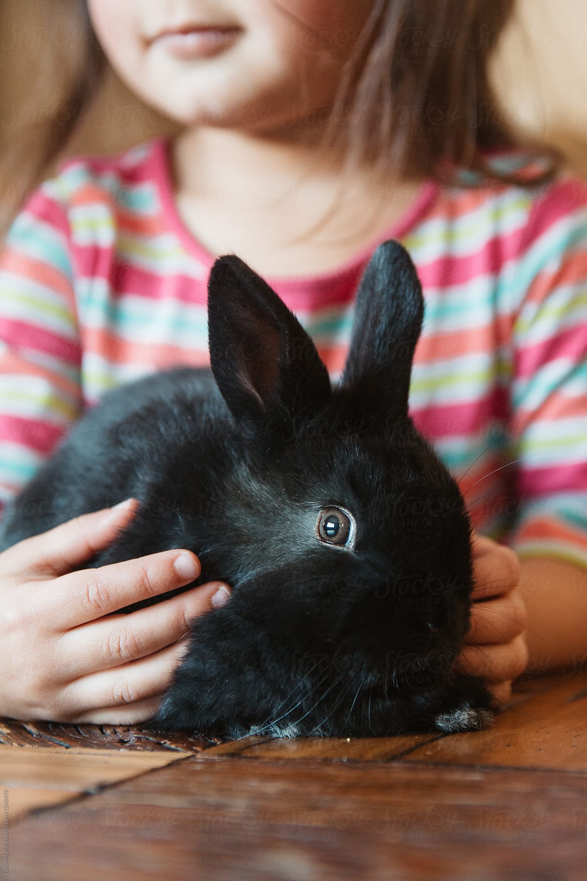 Girl holding her black bunny