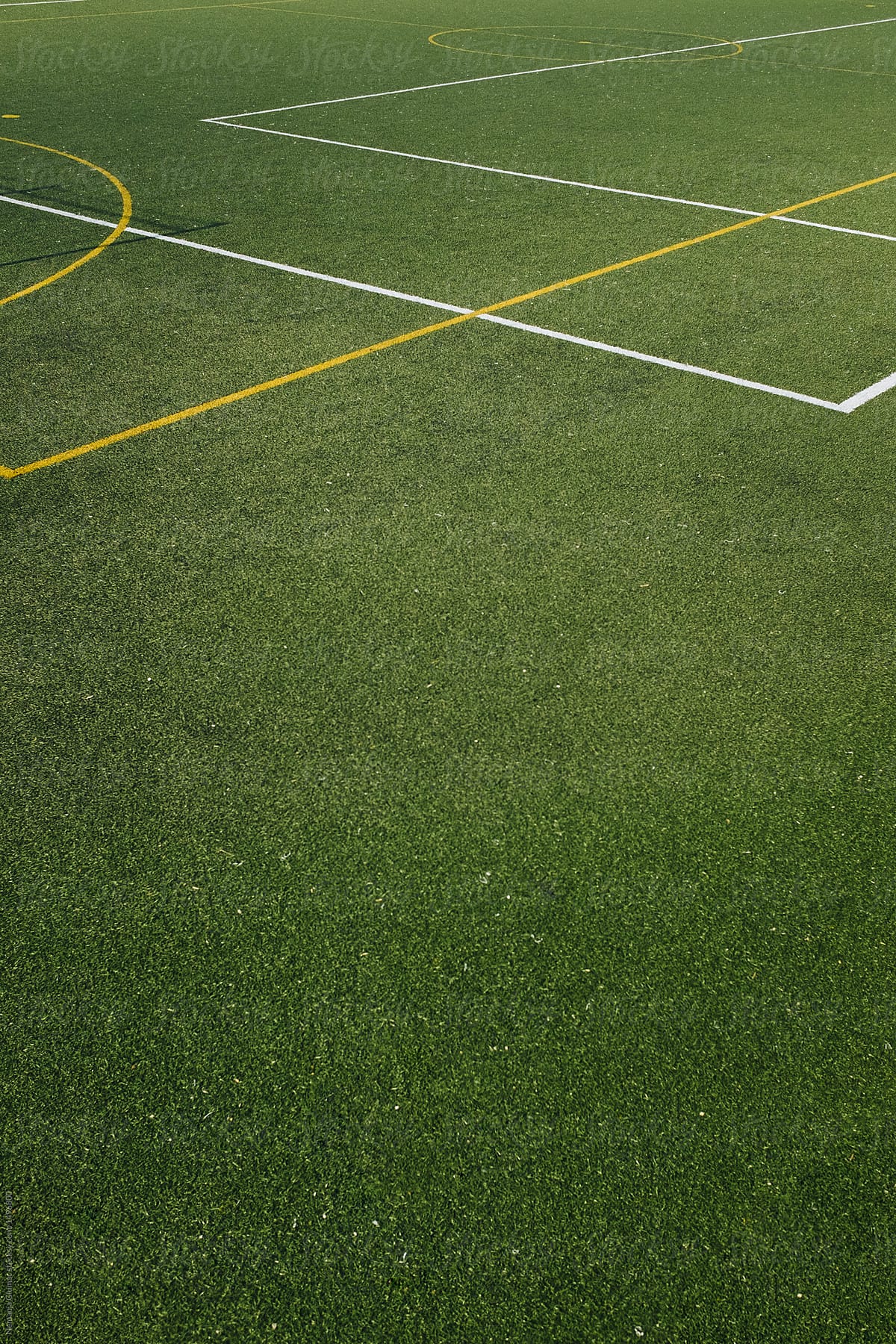 Detail of Grass Footbal Field With Copy Space
