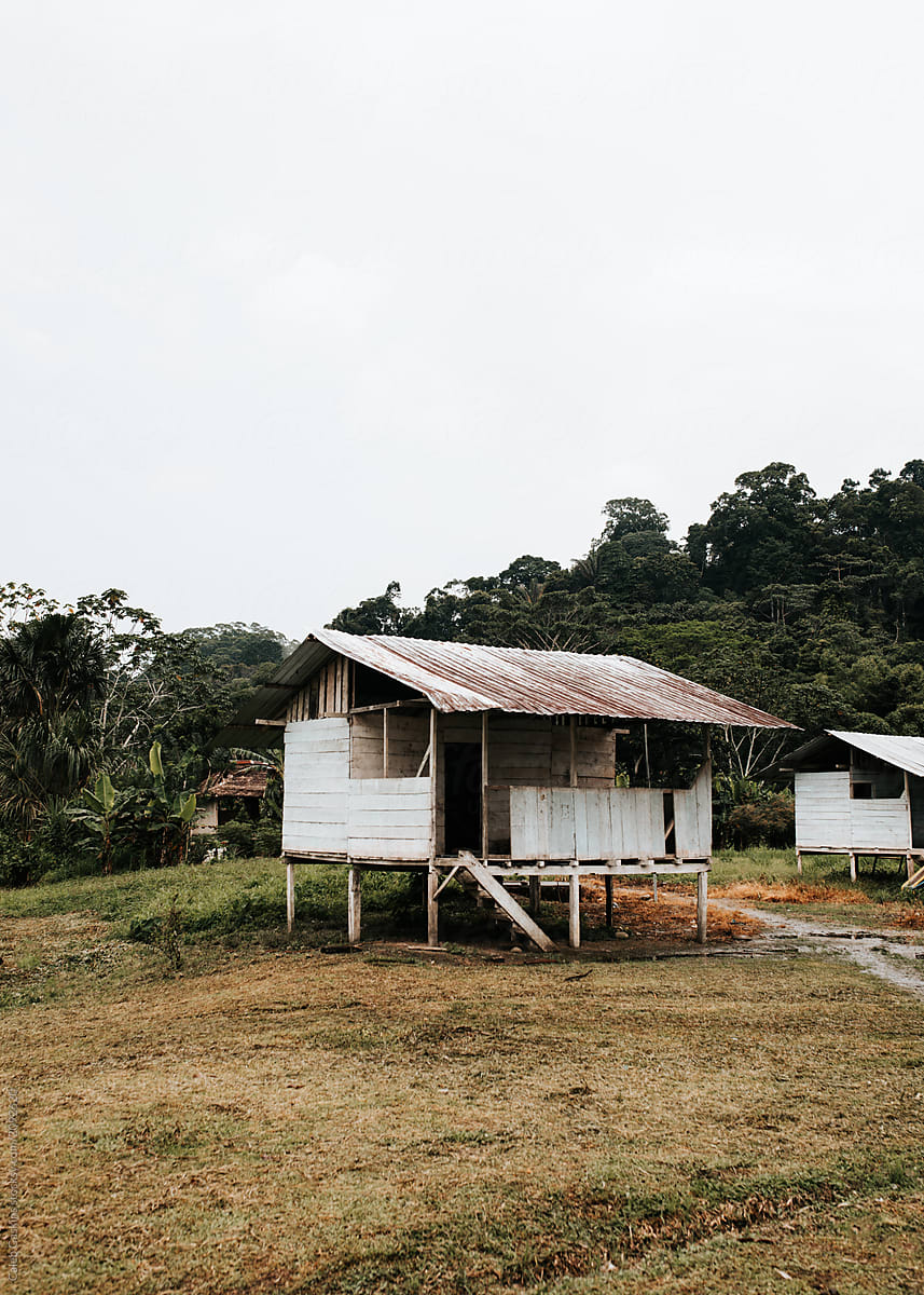Stilted Hut in jungle