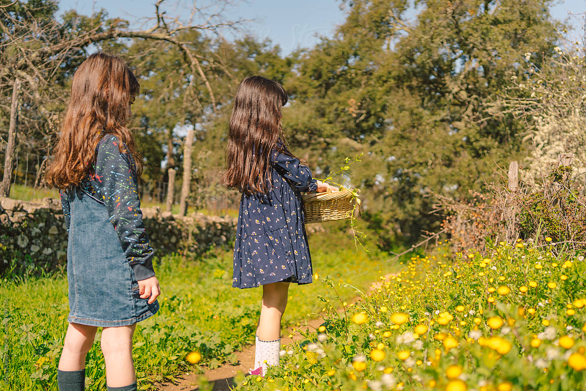 Kids picking flowers at field in spring