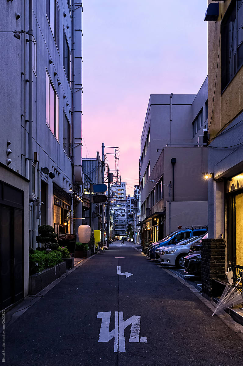 Osaka city at sunset