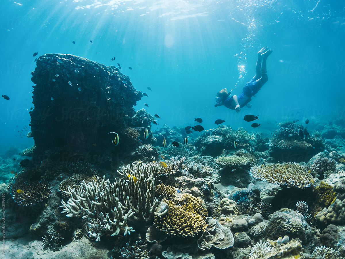 young boy diving at a beautiful colorful coral reef surrounded by coral fish