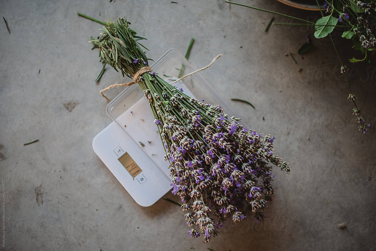 A bouquet of lavender weigh on scales on the floor