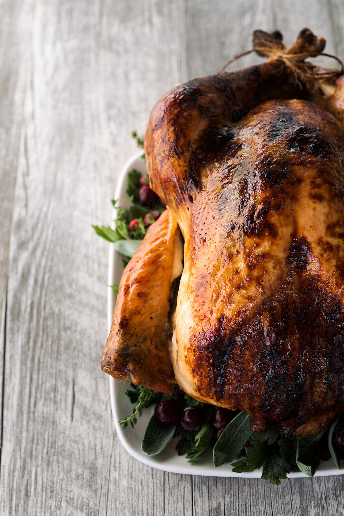 Thanksgiving: Roast Turkey On A Platter With Aromatics