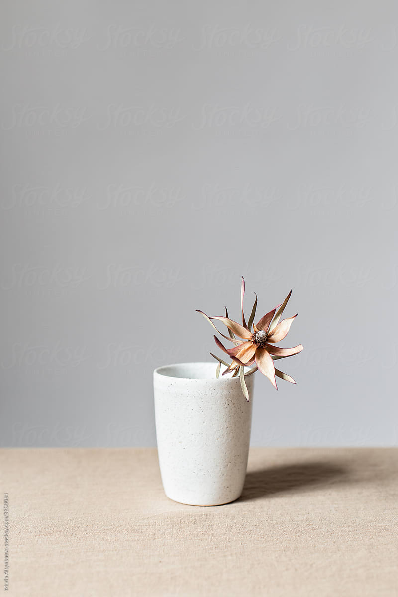 Vase with dried flower