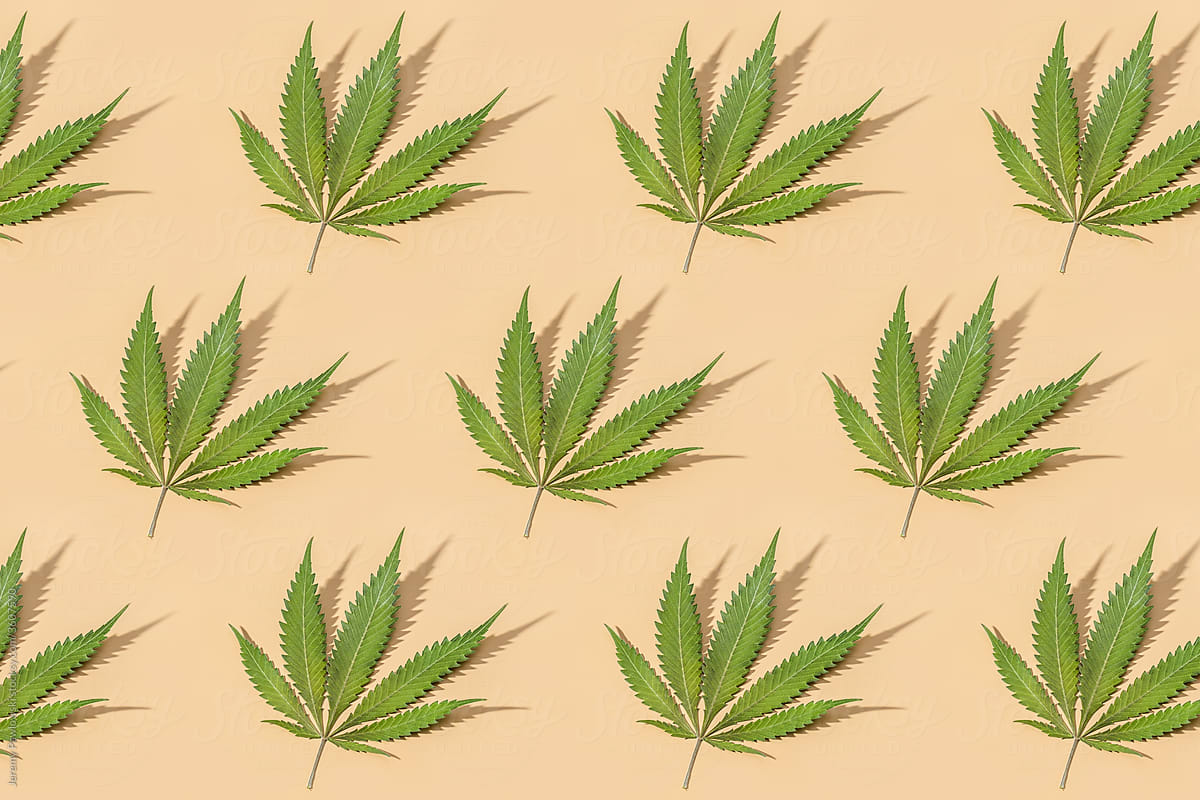 Cannabis Background