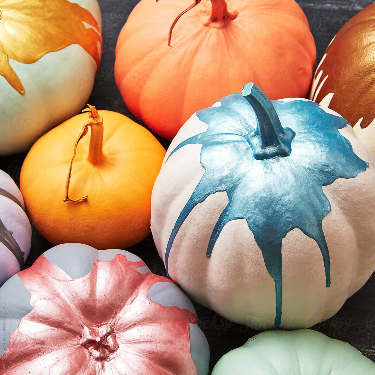 Composition from the multi-colored painted pumpkins on a dark concrete background. Halloween. Top view