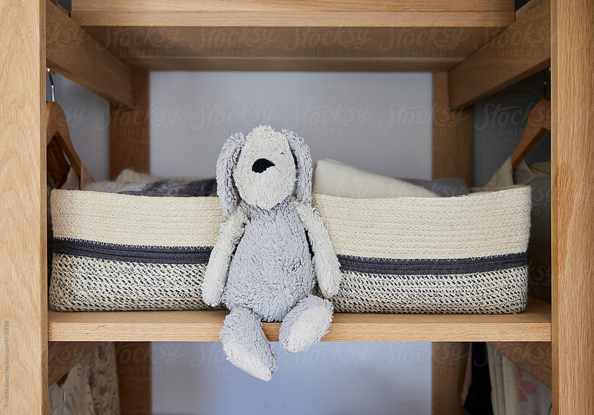Teddy bear in closet with basket