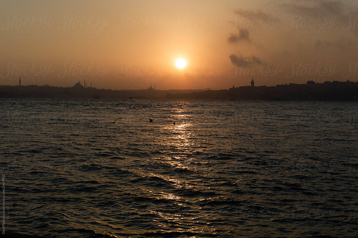 Sea near city and birds in sky at sunset. Sunset in Istanbul.
