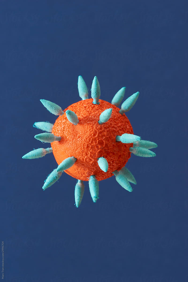World health coronavirus outbreak