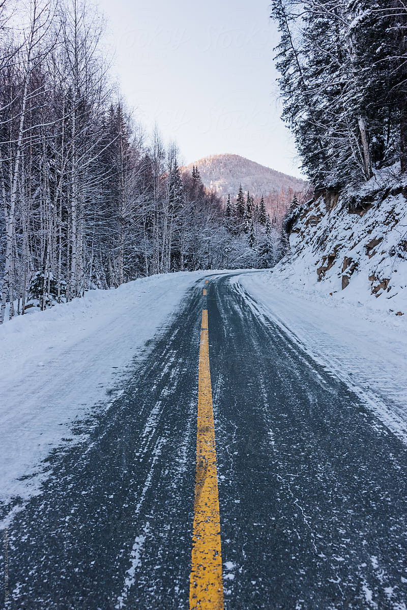 Road, snow, and forest