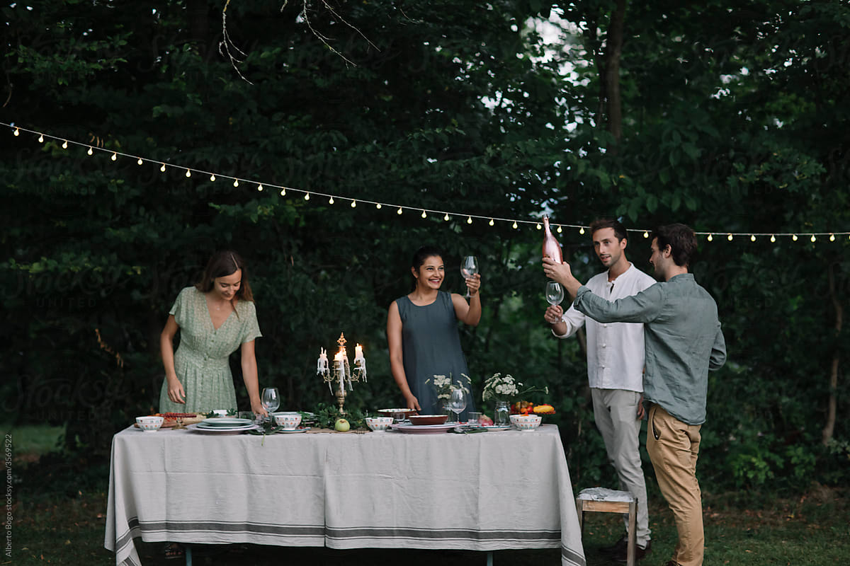 Friends Toasting at a Backyard Dinner