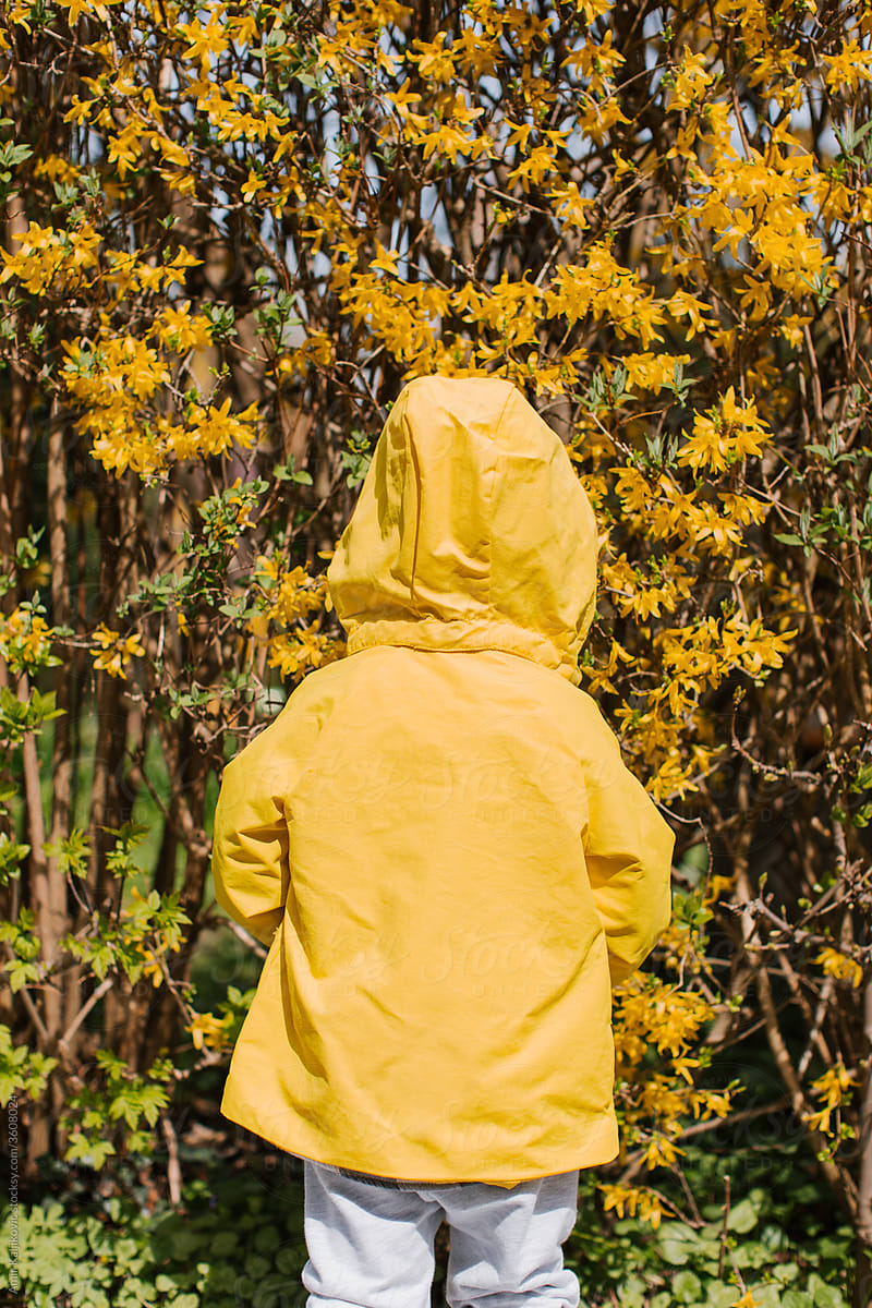 Young boy waring a yellow coat looking away